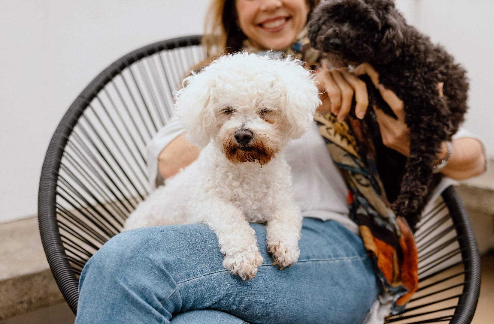 Vanessa sitting in a large wicker chair with the dogs.