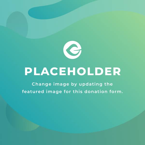 Placeholder